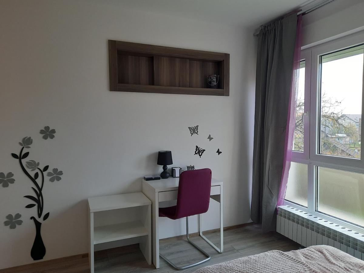 Apartman Ines 벨리카 고리차 외부 사진