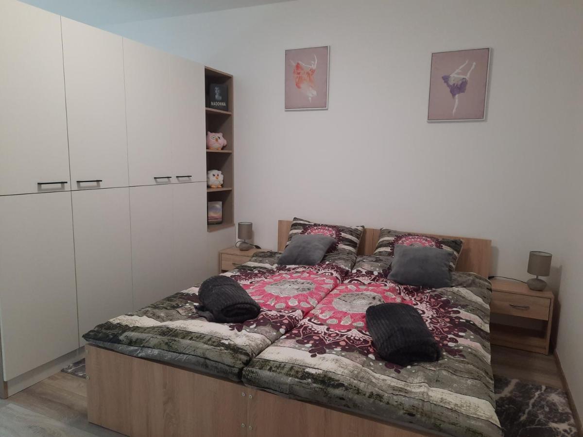 Apartman Ines 벨리카 고리차 외부 사진