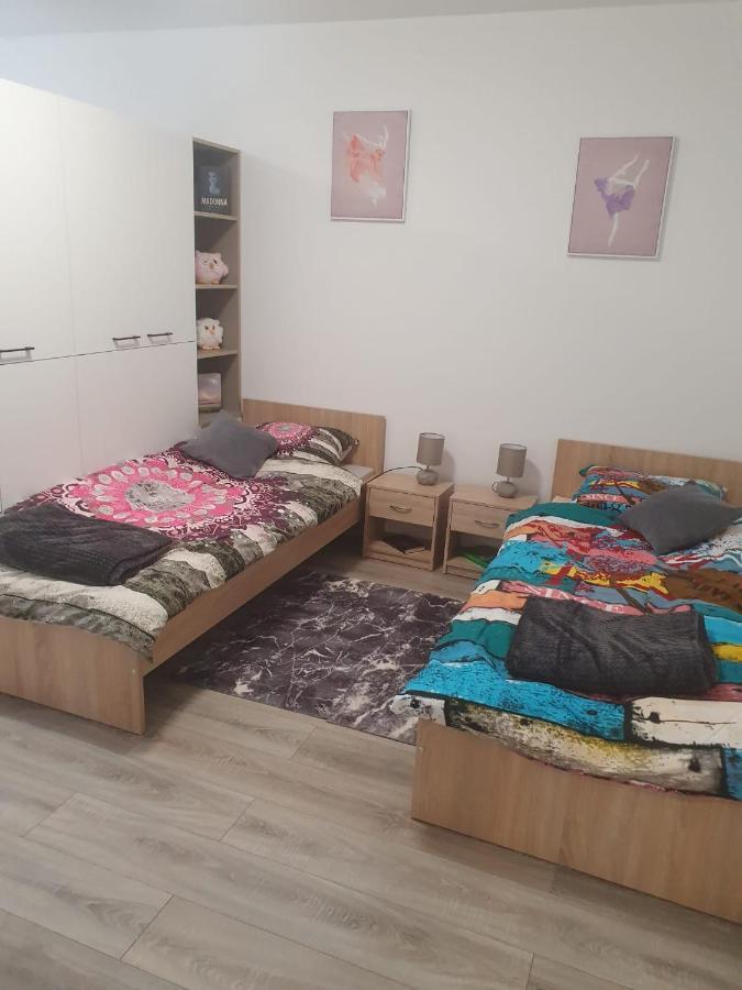 Apartman Ines 벨리카 고리차 외부 사진